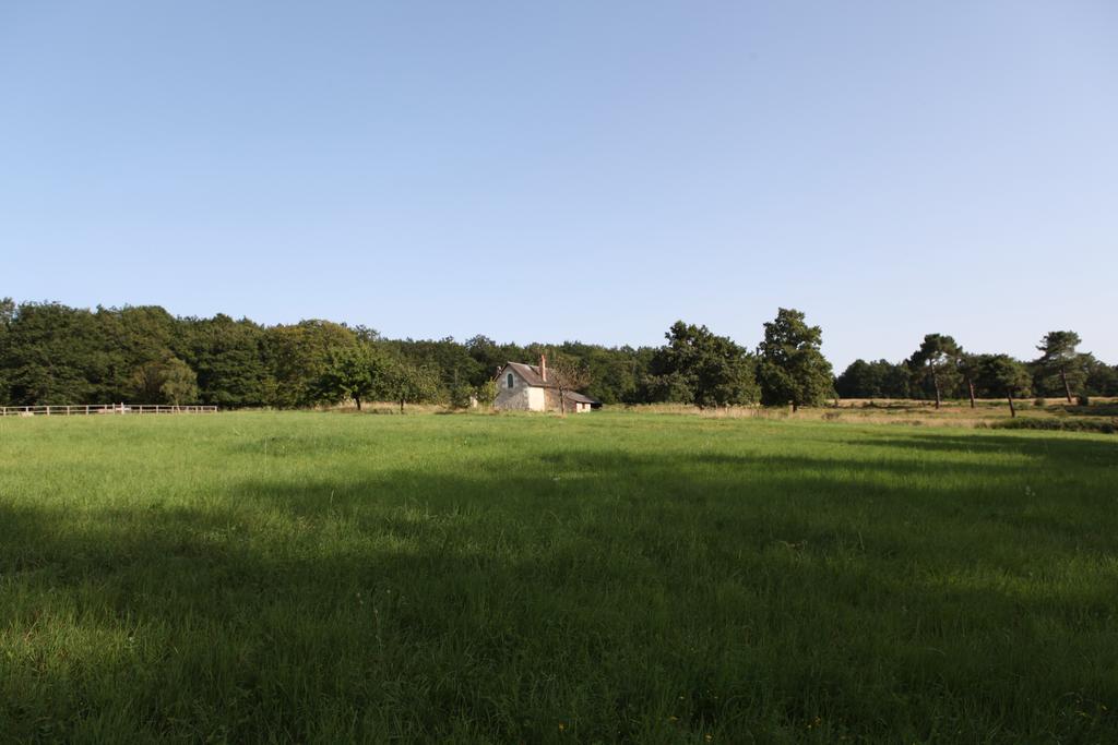 Gite D'Aigues Vives Vila Céré-la-Ronde Quarto foto